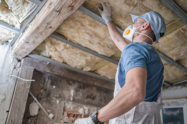 Best Blown-in Insulation in Camn, DE