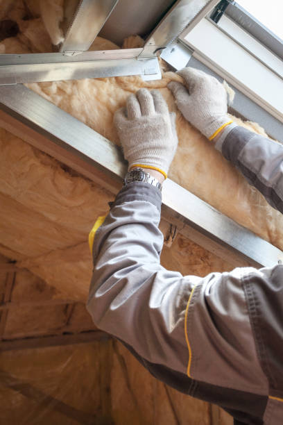 Best Fiberglass Insulation in Camn, DE