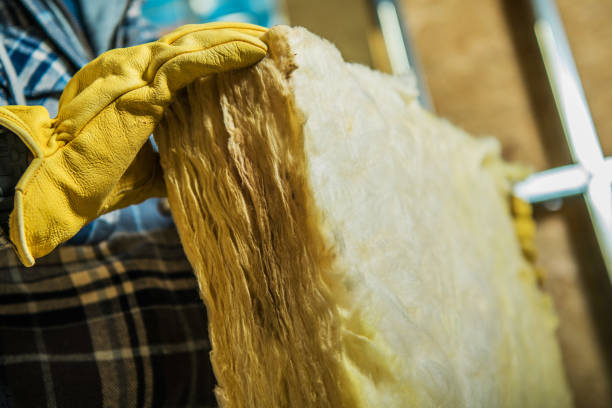 Best Cellulose Insulation in Camn, DE